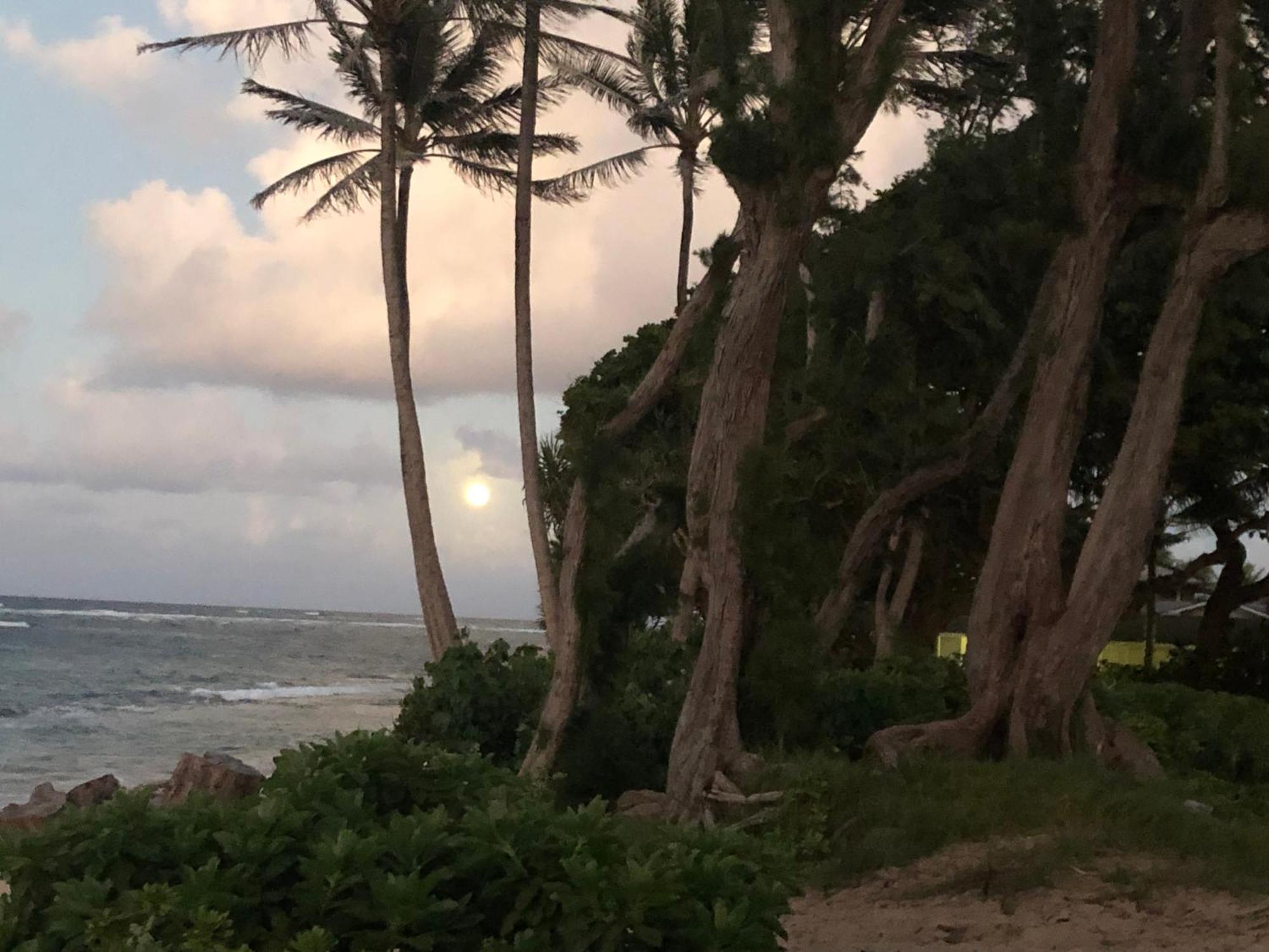 Tropical Treasure On A White Sandy Beach Villa Laie Luaran gambar